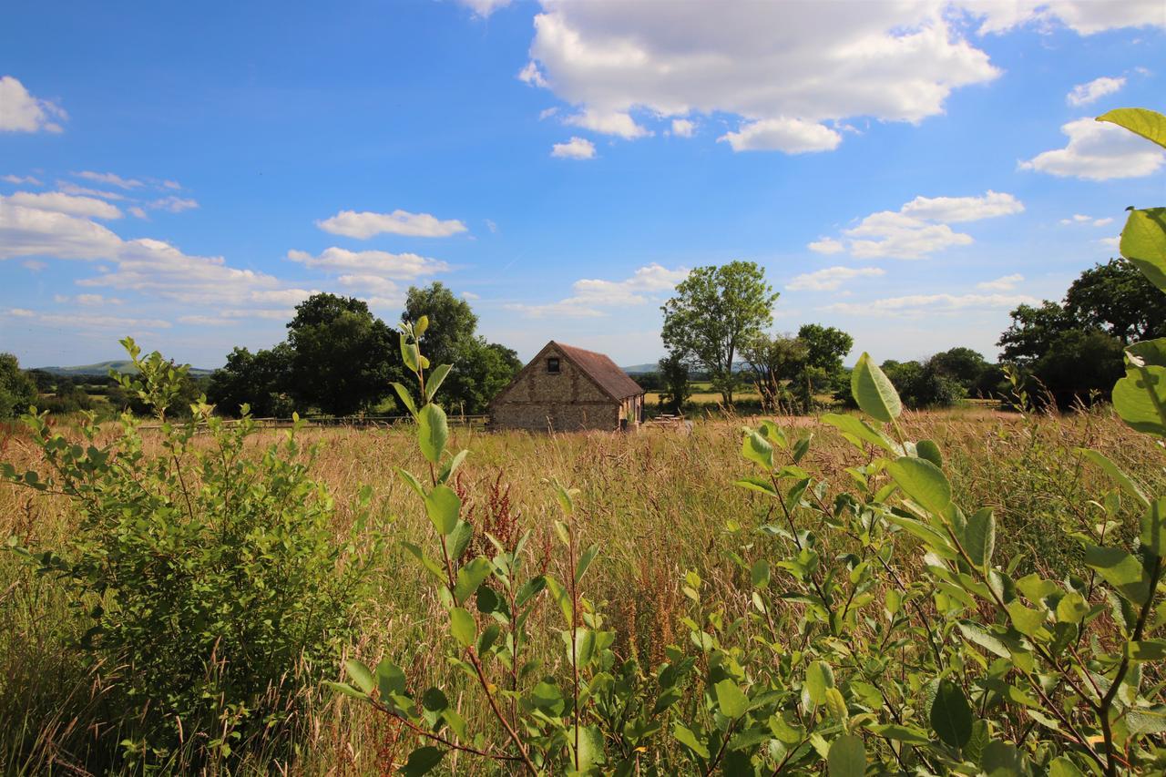 North Cottage - Country Retreat In The Heart Of Sussex -Twineham Zewnętrze zdjęcie